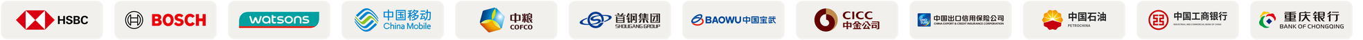HSBC, BOSCH, Watsons, China Mobile, COFCO, Shougang Group, BAOWU, CICC, SINOSURE, PetroChina, ICBC, and Bank of Chongqing